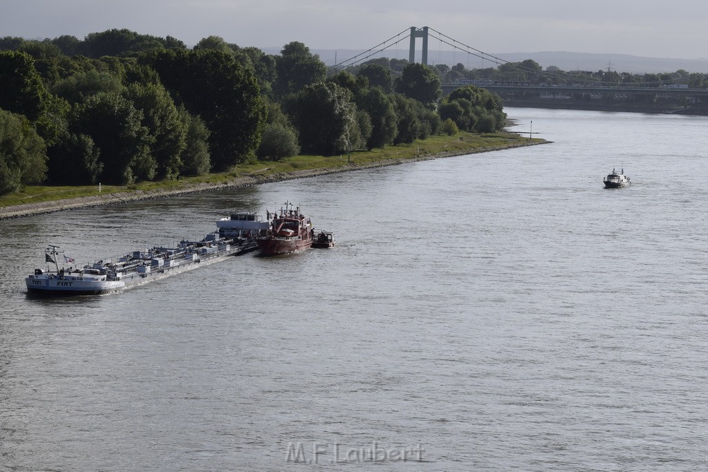 Schiff 1 Koeln in Hoehe der Koelner Zoobruecke P070.JPG - Miklos Laubert